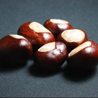 Foto 121 (Kastanie, Natur, Nahaufnahme)
